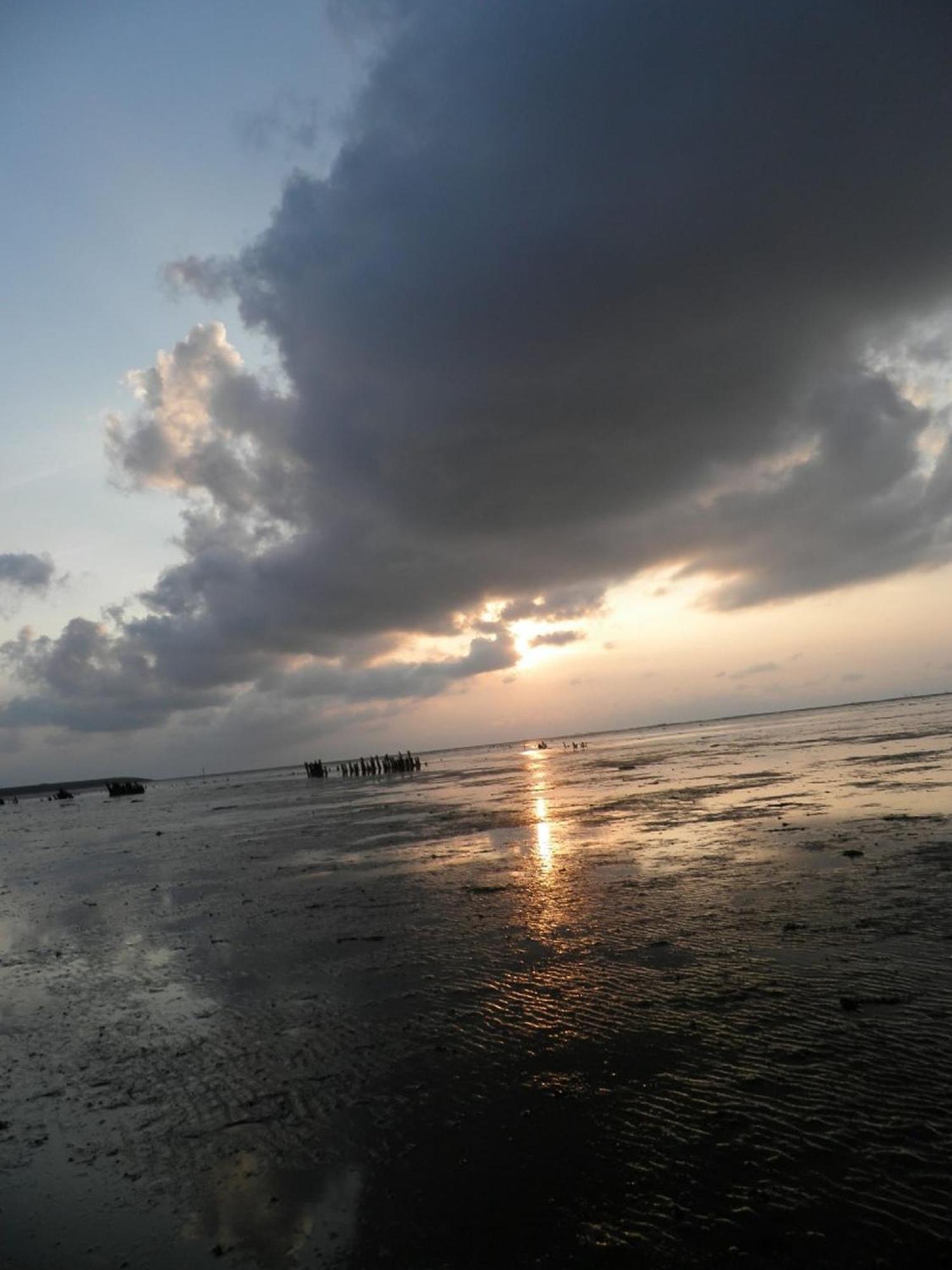 Tolles 2 Pers Haus Koenig Mit Hafenblick Am Lauwersmeer Villa Anjum Eksteriør billede