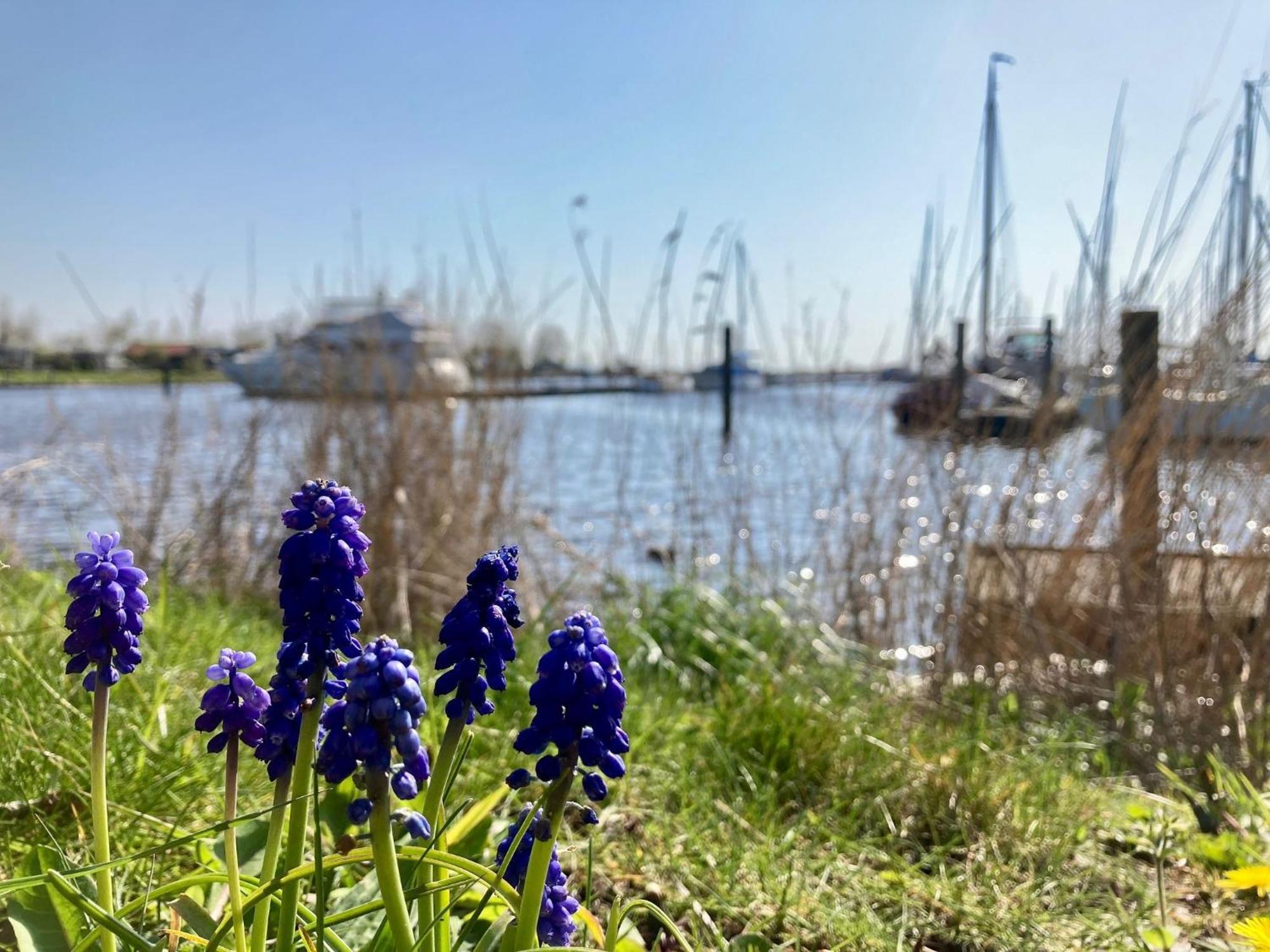 Tolles 2 Pers Haus Koenig Mit Hafenblick Am Lauwersmeer Villa Anjum Eksteriør billede