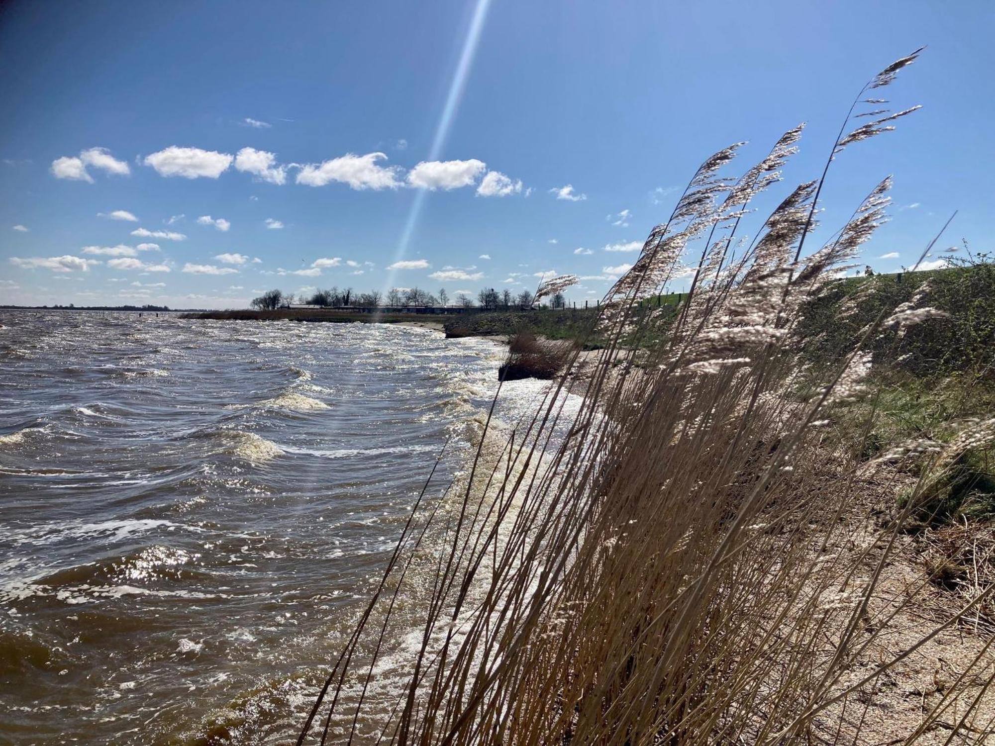 Tolles 2 Pers Haus Koenig Mit Hafenblick Am Lauwersmeer Villa Anjum Eksteriør billede